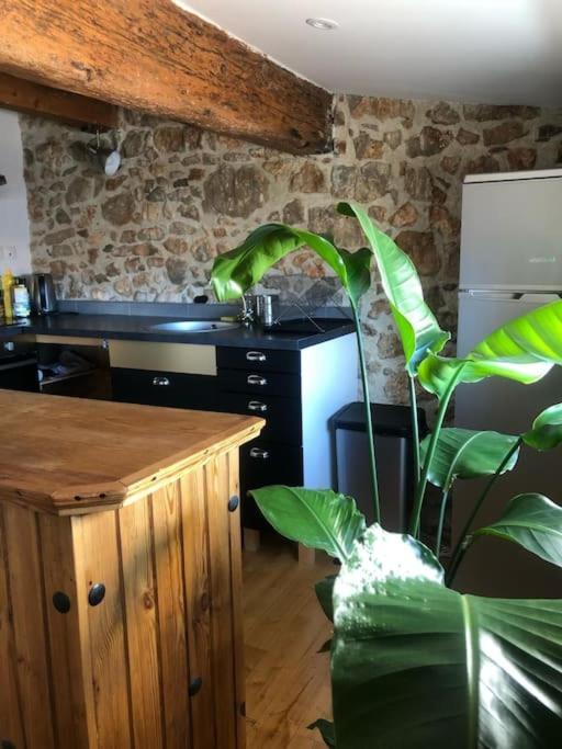 Le Loft Cosy - Centre Ville - Cadre Royal Sète Extérieur photo