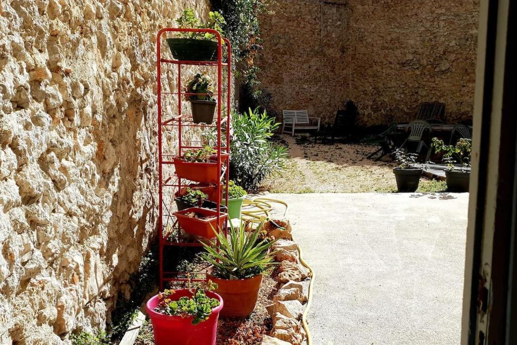 Le Loft Cosy - Centre Ville - Cadre Royal Sète Extérieur photo