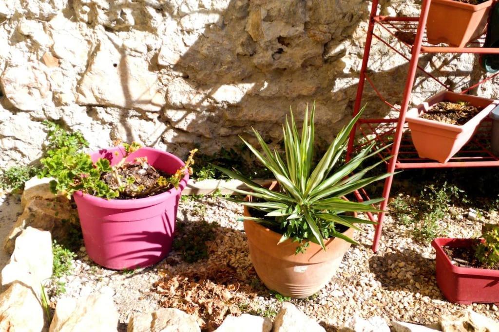 Le Loft Cosy - Centre Ville - Cadre Royal Sète Extérieur photo